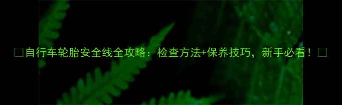 自行车轮胎安全线全攻略检查方法保养技巧新手必看
