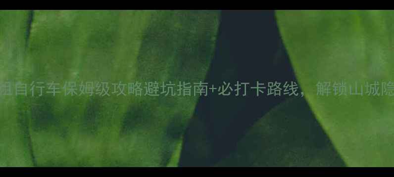 重庆旅游租自行车保姆级攻略避坑指南必打卡路线解锁山城隐藏玩法