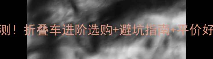 业余骑行老司机亲测折叠车进阶选购避坑指南平价好物推荐附保养秘籍