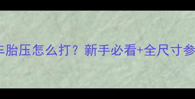 公路车胎压怎么打新手必看全尺寸参数表调压误区