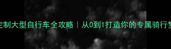 定制大型自行车全攻略从0到1打造你的专属骑行梦