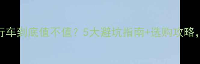 Birdy自行车到底值不值5大避坑指南选购攻略附真实测评
