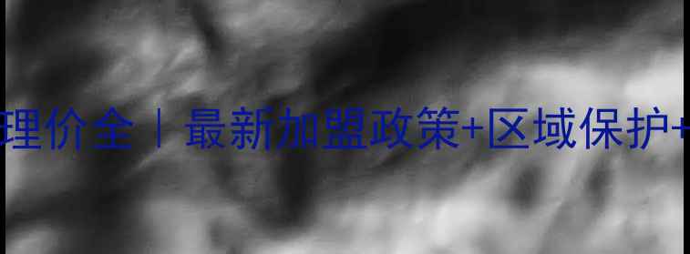 Trek自行车代理价全最新加盟政策区域保护利润空间公开