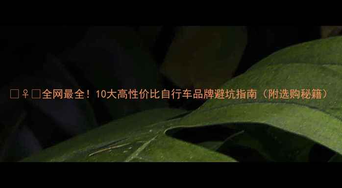 全网最全10大高性价比自行车品牌避坑指南附选购秘籍