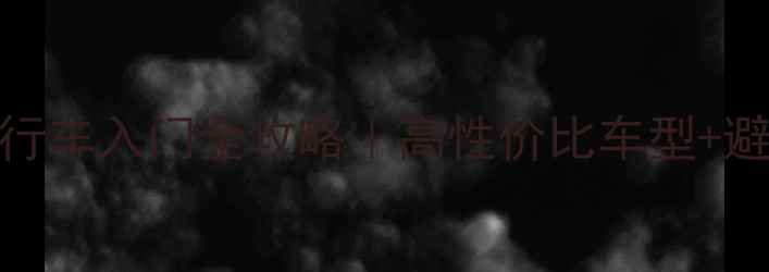 动漫竞技自行车入门全攻略高性价比车型避坑指南训练技巧