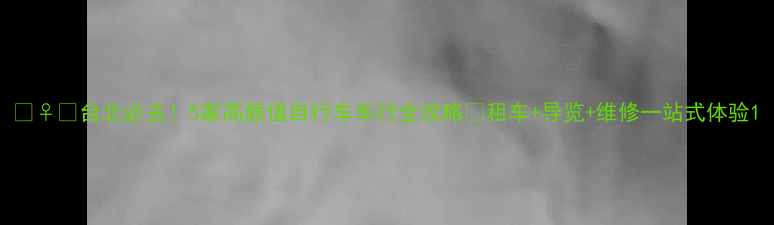 台北必去5家高颜值自行车车行全攻略租车导览维修一站式体验