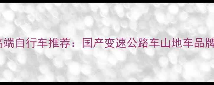 国内高端自行车推荐国产变速公路车山地车品牌榜单TOP10