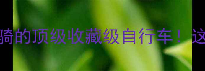 年薪百万才能骑的顶级收藏级自行车这5款才是真奢侈品