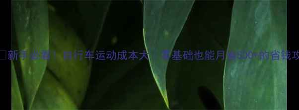 新手必看自行车运动成本大零基础也能月省500的省钱攻略