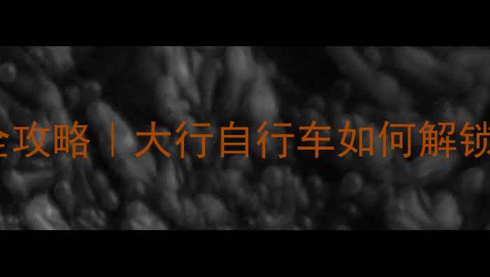 旧金山骑行全攻略大行自行车如何解锁城市隐藏玩法