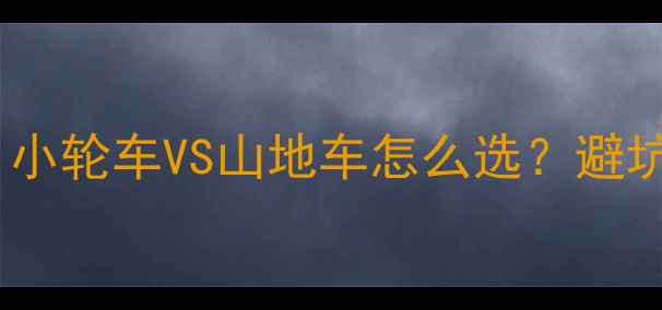 纠结症犯了小轮车VS山地车怎么选避坑指南车型实测全