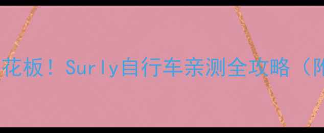 美国公路车天花板Surly自行车亲测全攻略附闭眼入车型清单