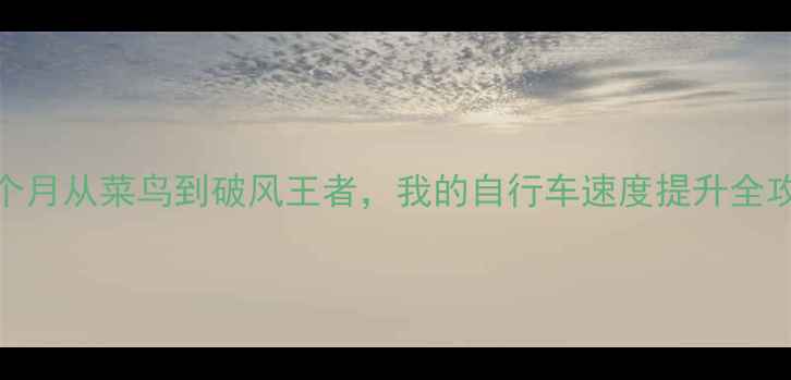 骑手必看3个月从菜鸟到破风王者我的自行车速度提升全攻略附避坑指南