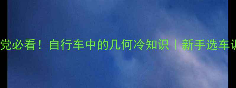 骑行党必看自行车中的几何冷知识新手选车调校全攻略