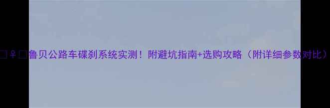 鲁贝公路车碟刹系统实测附避坑指南选购攻略附详细参数对比