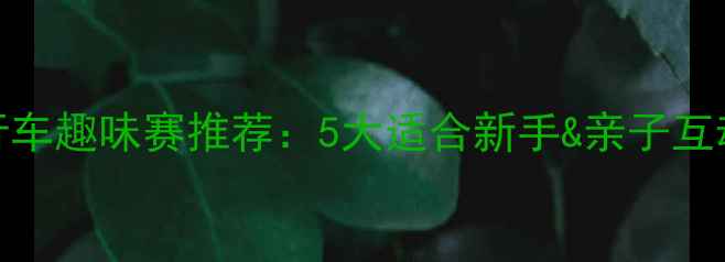自行车趣味赛推荐5大适合新手亲子互动的创意玩法