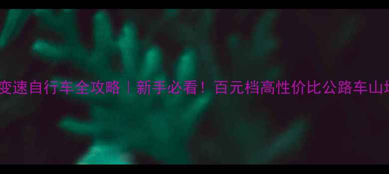 迫特变速自行车全攻略新手必看百元档高性价比公路车山地车怎么选