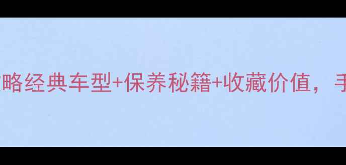 老式德国自行车全攻略经典车型保养秘籍收藏价值手把手教你玩转复古骑行