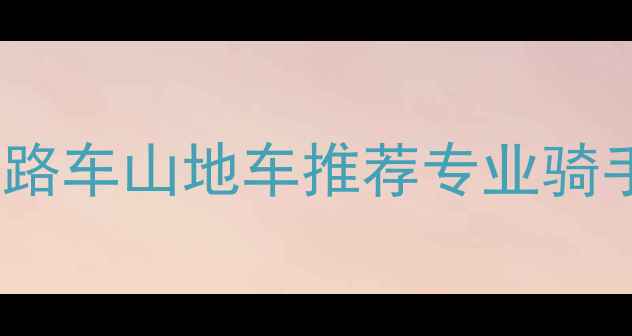 英国天空车队同款公路车山地车推荐专业骑手私藏选购指南保养秘籍