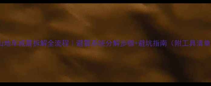 山地车减震拆解全流程避震系统分解步骤避坑指南附工具清单