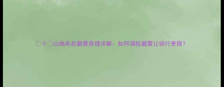 山地车后避震原理详解如何调校避震让骑行更稳